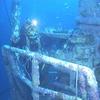 Gulfcoastdiver