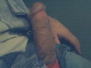 xavier31fl