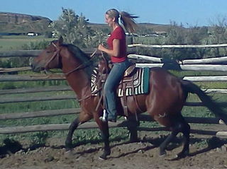 cowgirlstacia