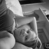 shelley27