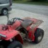 lmprivett42