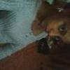 TETE WANTS 2 FIND OUT WAT SHE IZ