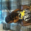 Ebony*Splash