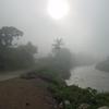 Oddua99