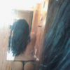 vanessa4fun