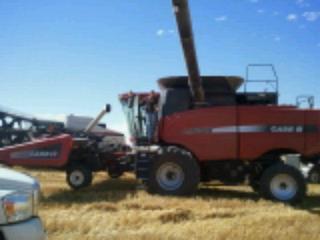 your tractor man 21