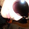 rosa_7_92740