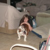 Joceyboo