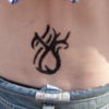 Lissa T