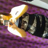 Miss_CynCyn