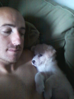 Dtrees619
