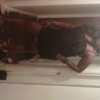 andre64505c