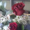 carol6569d2