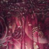 rose921