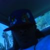 andre791d89