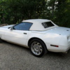 vetted49126
