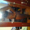 steph91d3fe