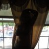 vivlee29