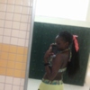 Kissm8582bb
