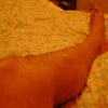 Freke101_5589