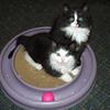 lizzy6f511b