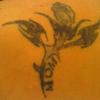 chris833eef