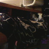 chant3d50d7