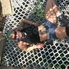 freakdev2012