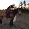 horsegirlbarrelracer