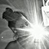 adreana.alexis