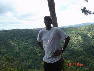 nynavytrini